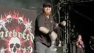 HATEBREED | "Looking Down the Barrel of Today"  Witness the Ball of Death! #hatebreed #bloodstock