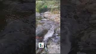 شلال جميل قرية جاماش ولاية اوردو شمال تركيا #travel #شمال_تركيا