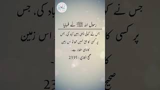 Daily Hadees | Hadees Sharif | Sahih Bukhari 2335 || Daily Blink #shorts #viral #sahihbukhari