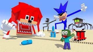 Cursed Shin Sonic vs Shin Knuckles vs Boss choo-choo train BOTTLE FLIP : Minecraft Animation