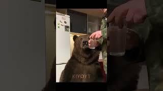 The Best Pets 