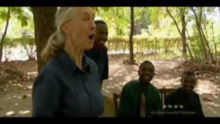 Jane Goodall's Roots & Shoots