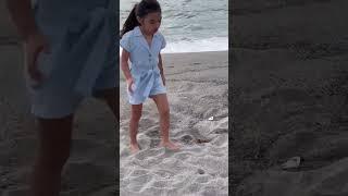 A day at the Beach 
