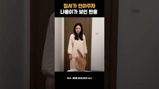 집사가 안아주자 냐옹이가 보인 반응
