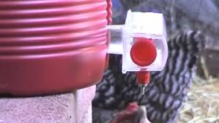 BriteTap Chicken Waterer v2