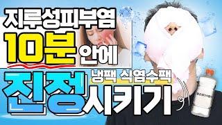 최신버전얼굴 지루성피부염 진정관리법 | 냉팩, 식염수팩 사용법과 주의사항