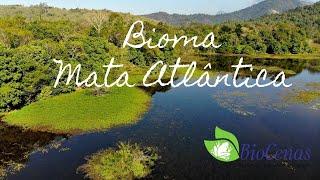 BIOMA MATA ATLÂNTICA