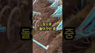 시골땅 무단사용후 적반하장 #shorts