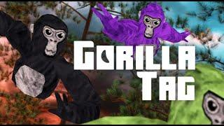 Gorilla tag update! (code: colorered, JOIN!)