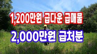 경북 땅 오지 땅 공기맑음 퍼펙트 나는자연인이다(매매2700만원)