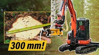 Cutting Huge Trees With TMK 200! // TMK Tree Shear