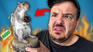 we reviewed DEAD ANIMALS from etsy... (taxidermy)