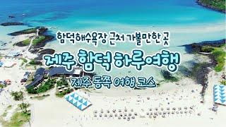 제주동쪽여행 추천지 | 누구나 사랑하는 제주 함덕 여행 하루코스