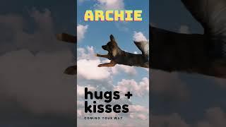 Archie the Wonder dog!