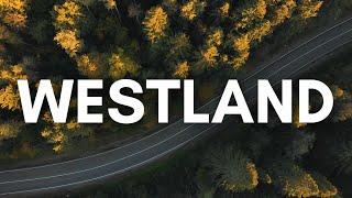 Everything You NEED to Know about Living in Westland, MI