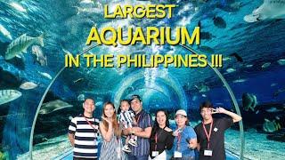 Oceanarium Underwater View | Manila Ocean Park | Largest Aquarium in the Philippines | WilMie Vlogs