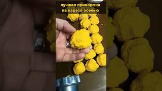 Прикормка на осеннего карася #насадка #карась #рецепт #рыба #рыбалка #прикормка