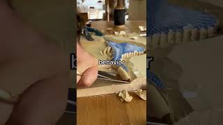 #reddit #story #wood #interesting