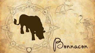 Monsters Dissected: Bonnacon - The Acid Farting Bull