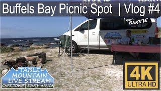 Buffels Bay Braai / Picnic Spot | Vlog #4 | Cape Point Nature Reserve