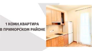 1 комнатная квартира в Приморском районе