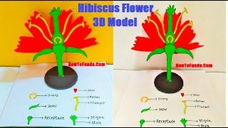 hibiscus flower parts 3d model making | science project | DIY | howtofunda