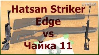 Hatsan striker edge vs Чайка 11