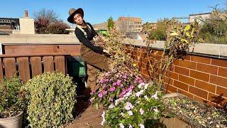 Emptying Out My Raised Beds To Get Ready For Bulb Planting! 