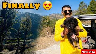 Gaon Atey Hi Mama Ney Surprise de Diya  Bhotia dog