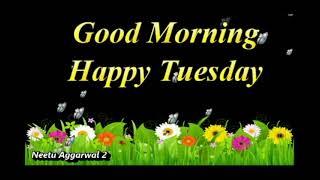 Good Morning,Happy Tuesday,Wishes,Greetings,ECard,Whatsapp Video @goodmorningneetuaggarwal2595 @NeetuAggarwalGoodMorning