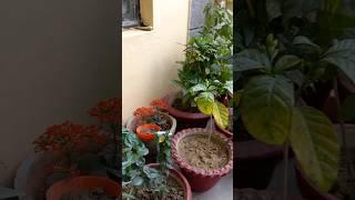 Holi with a few rain drops Holi Special 2023️
