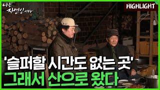 [자연인 하이라이트] 543 과거의 아픔을 삭히고 자연에 뿌리내린 남자의 사연 MBN 230301 방송