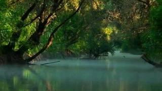 Danube Delta Photography by Romeo Huidu
