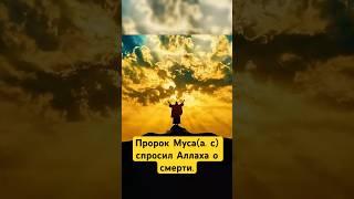 Пророк Муса (а. с) Размышляя о Смерти спросил Аллаха.... #shotrs