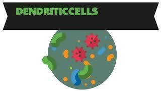 What is Dendritic Cell Therapy? By Verita Life