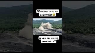 Взорвать скалу, да пожалуйста  #аммонит #взрыв #окаменелости