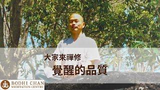 【大家來禪修】覺醒的品質｜完整版｜慧全法師 Ozmonk