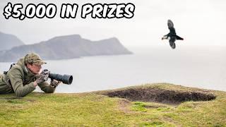 I’m Hosting a $5,000 Public Wildlife Photography Competition