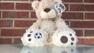 Buddy Balls: Convertible Teddy Bear to Toy Ball