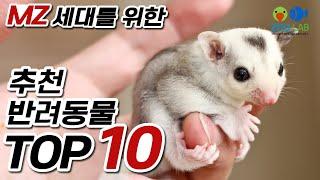 바쁘고 복잡한 현대인을 위한 추천 반려동물 TOP10!