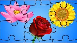 Puzzles For Kids | Learn How To Solve a Jigsaw Puzzle | Flower Jigsaw Puzzle