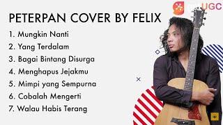 " MUNGKIN NANTI - PETERPAN " COVER BY FELIX IRWAN 2021