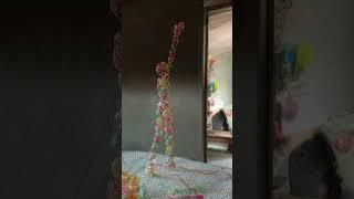 https://youtube.com/shorts/qqqARqVDPkY?si=huuIkikHSmjWeWUO