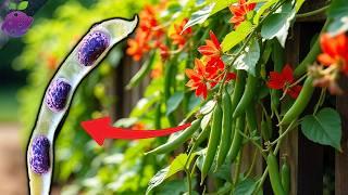 20 Forgotten Vegetables Your Grandparents Grew (But You’ve Probably Never Eaten)