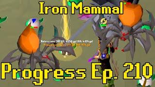 These Boots Have a Secret | Iron Mammal Progress 210