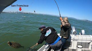 San Francisco Bay Live Bait Drifting for Halibut and Striped Bass