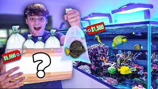 MOST EXPENSIVE FISH STOCKING for My SALTWATER REEF AQUARIUM!!