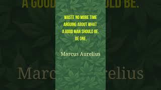 To be a good person. #motivation #selfchange #selfdevelopment #quotes #stoicism #marcusaurelius