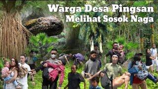 Gempar ! Penemuan Fosil Ular Purba Yang Membuat Geger warga di Hutan Jombang