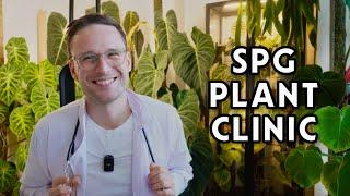 HELPING MY SUBSCRIBERS WITH THEIR PROBLEM PLANTS - free plant advice for my followers :)